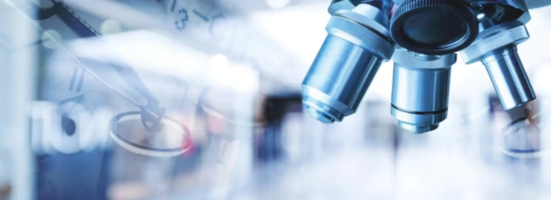 Laboratory Services